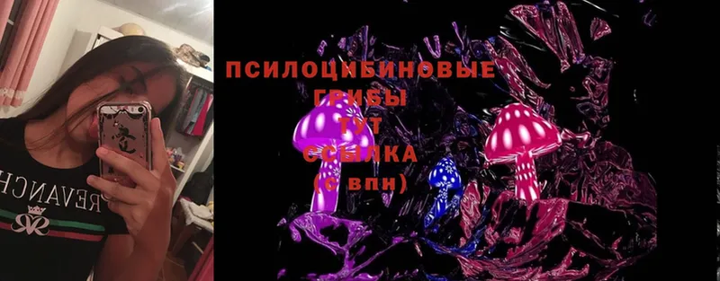 Псилоцибиновые грибы MAGIC MUSHROOMS  купить закладку  Арсеньев 